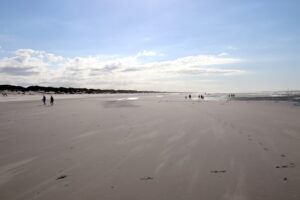 Introductie tot de Waddenzee