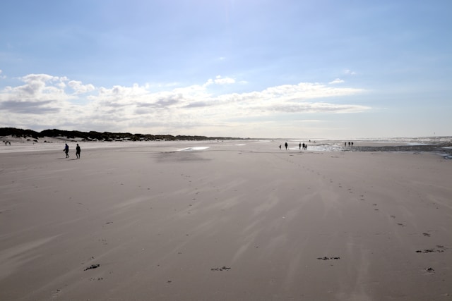 Introductie tot de Waddenzee